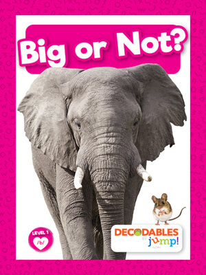 Big or Not? - ebook